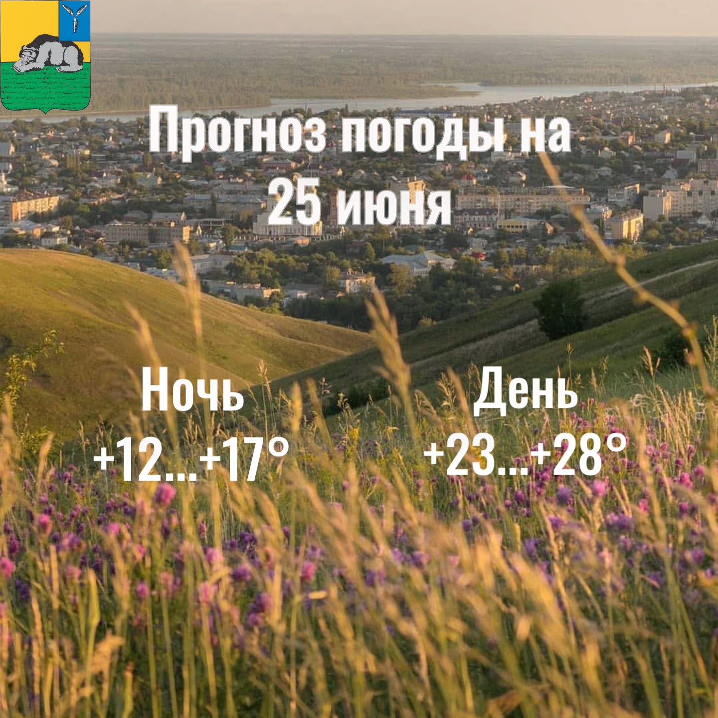 Погода 25.06.