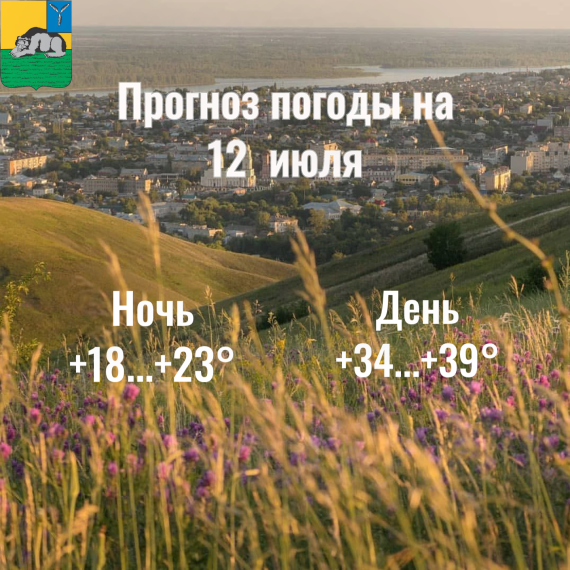 Оперативный прогноз. Оперативный прогноз.