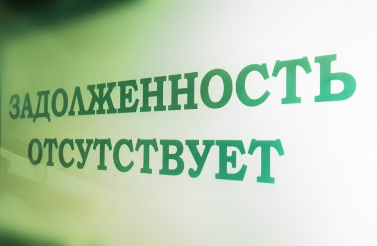 Как проверить и оплатить налоговую задолженность с помощью электронных сервисов ФНС России. Как проверить и оплатить налоговую задолженность с помощью электронных сервисов ФНС России.